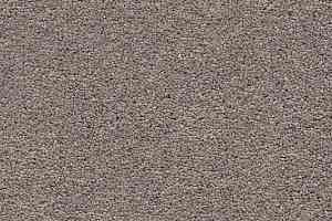 Ковролин AW Vivendi Punch 39 фото  | FLOORDEALER